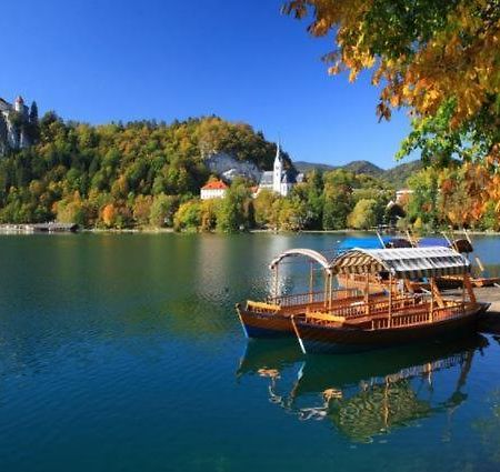 Mia Dream Lägenhet Bled Exteriör bild