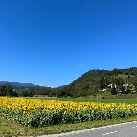 Mia Dream Lägenhet Bled Exteriör bild