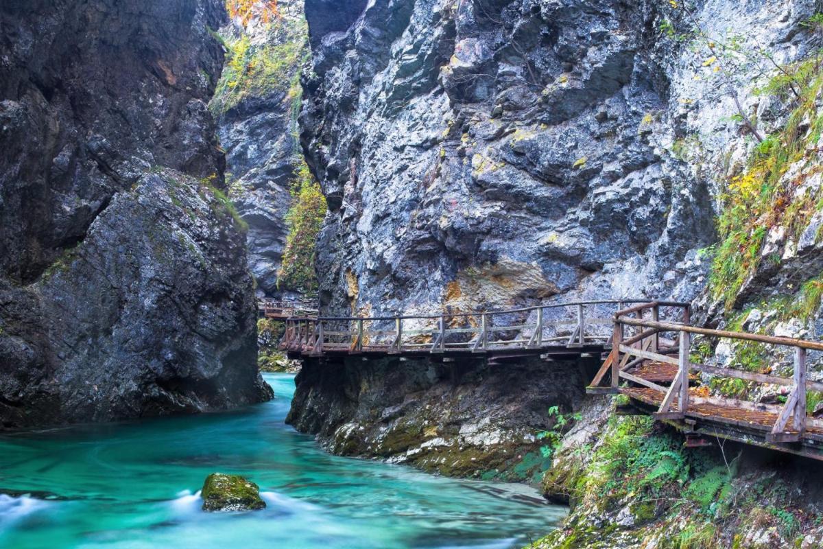 Mia Dream Lägenhet Bled Exteriör bild