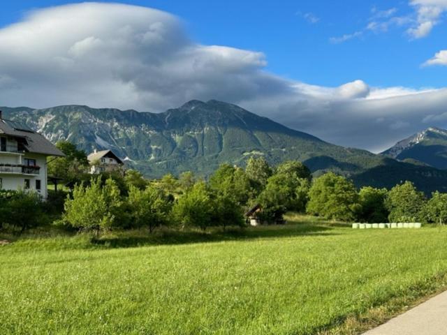 Mia Dream Lägenhet Bled Exteriör bild